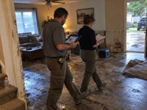 Walking a damage claim with an insurance adjuster by Vault Mold Removal