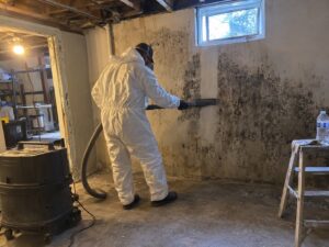HEPA vacuum removal of mold from drywall by Vault Mold Removal