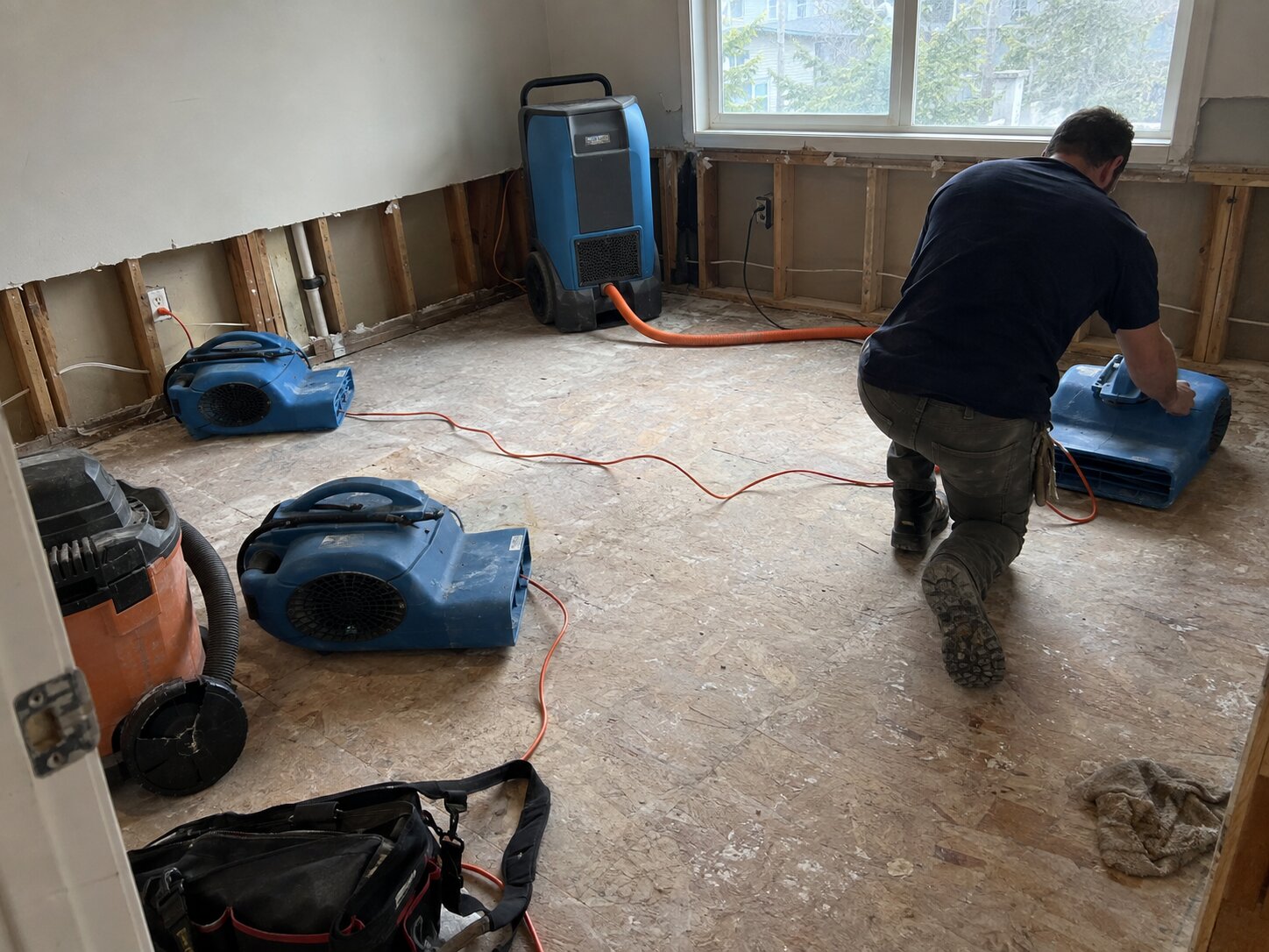 Drying equipment setup after water damage in Case Studies by Vault Mold Removal