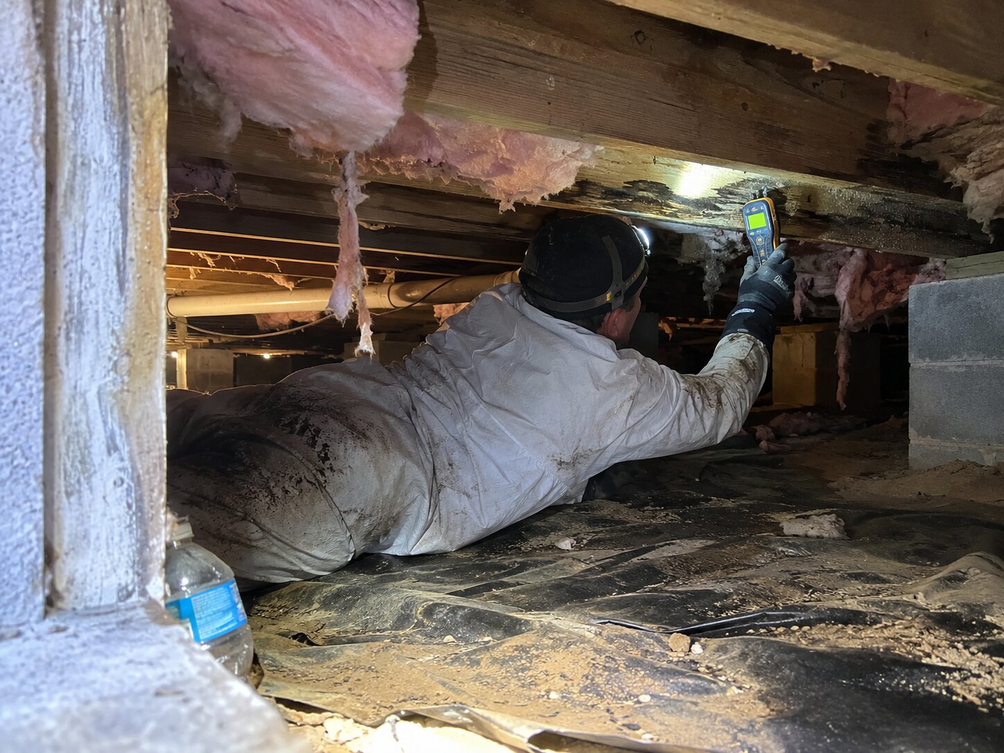 Crawlspace inspection with a moisture meter in Types Of Damage by Vault Mold Removal