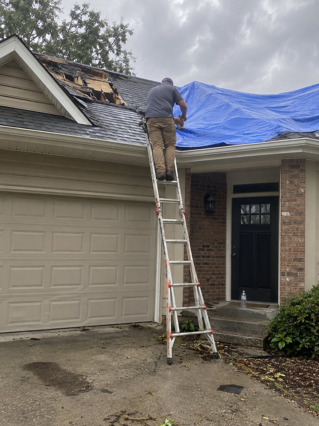 Tarping a storm-damaged roof by Vault Mold Removal
